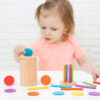 2 in 1 Montessori Toddlers Toys
