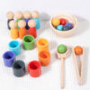 Wooden Ball Toys