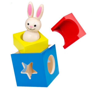Baby Rabbit Magic Box