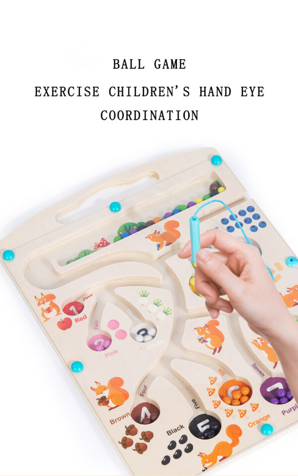 Montessori Toy Magnetic Game